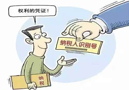 一般纳税人识别号是多少?(图1) 一般纳税人识别号是多少?(图1)